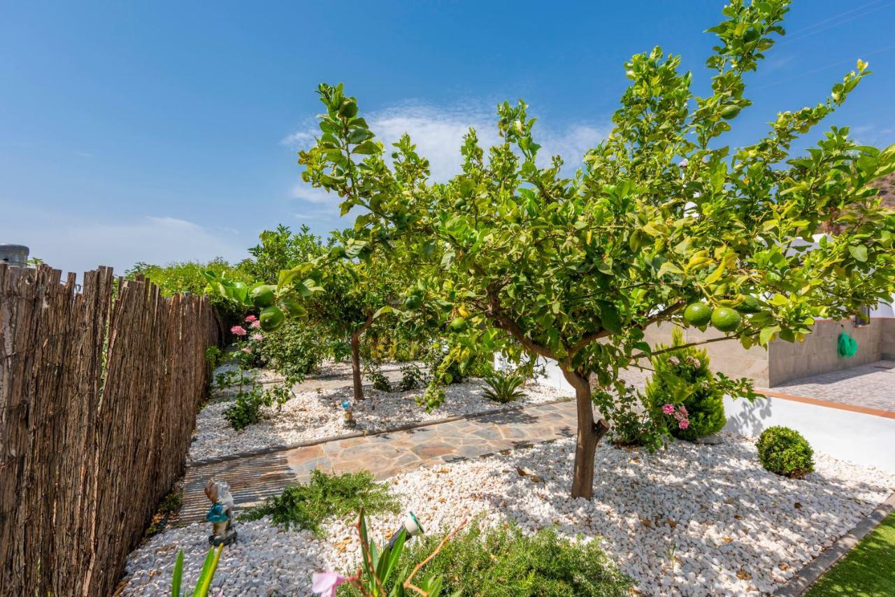 La Marina Villa Nerja