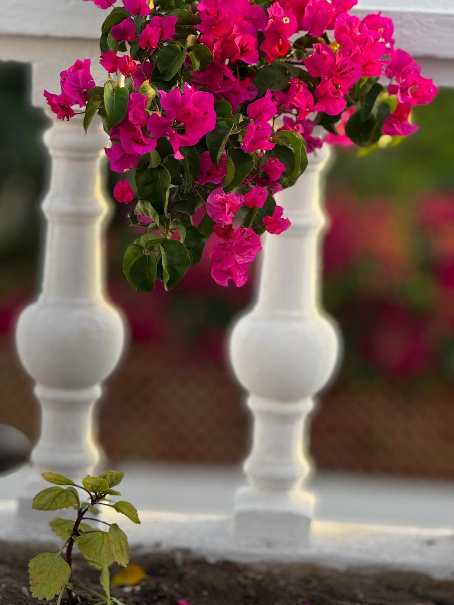 Apartment Bajamar 24 Nerja