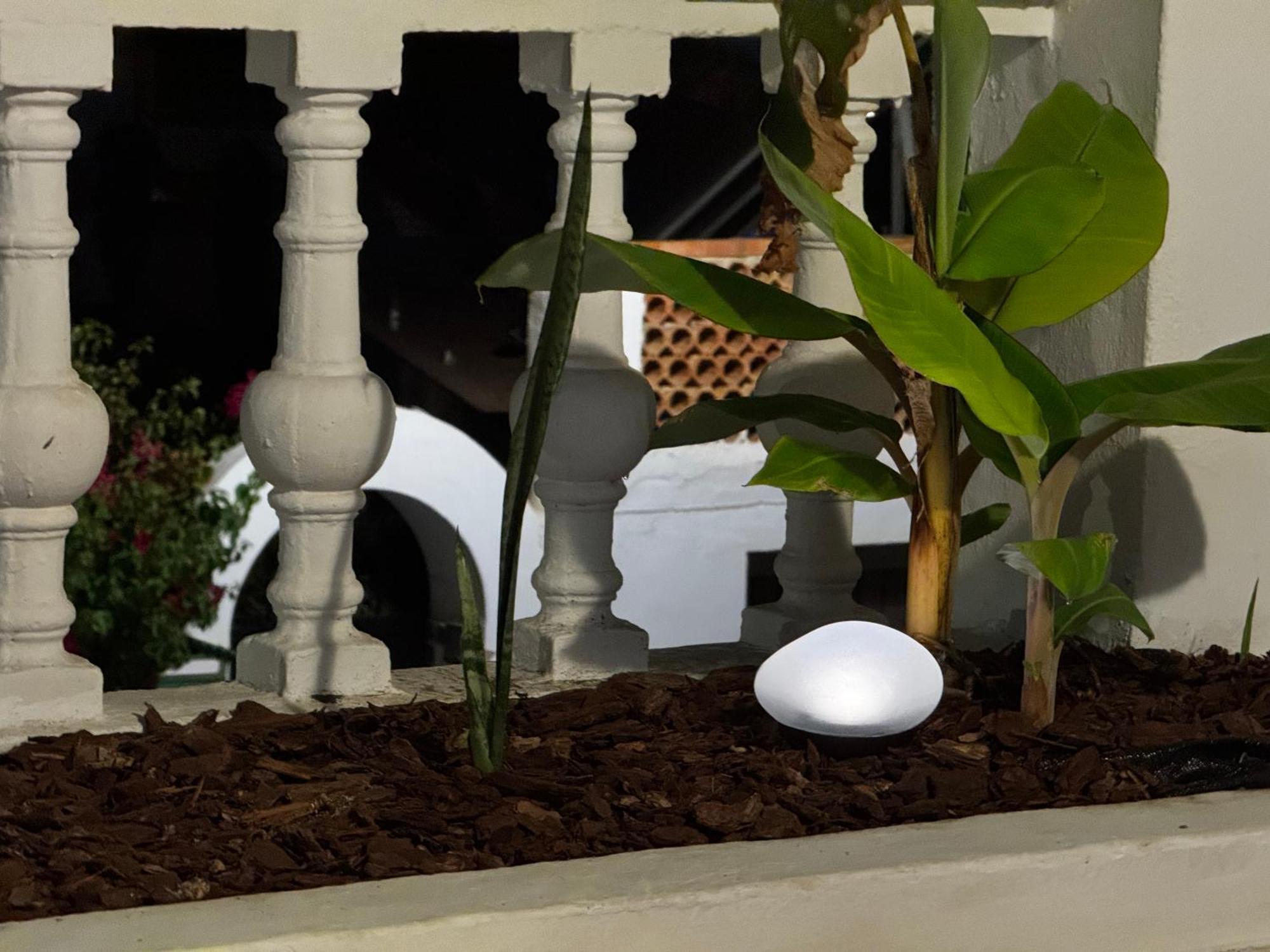 Apartment Bajamar 24