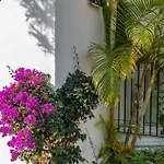 Casablanca 31 Oasis Properties
