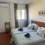 Palmeras 8 Menyber