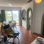 Palmeras 8 Menyber