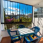 Palmeras 6 Menyber