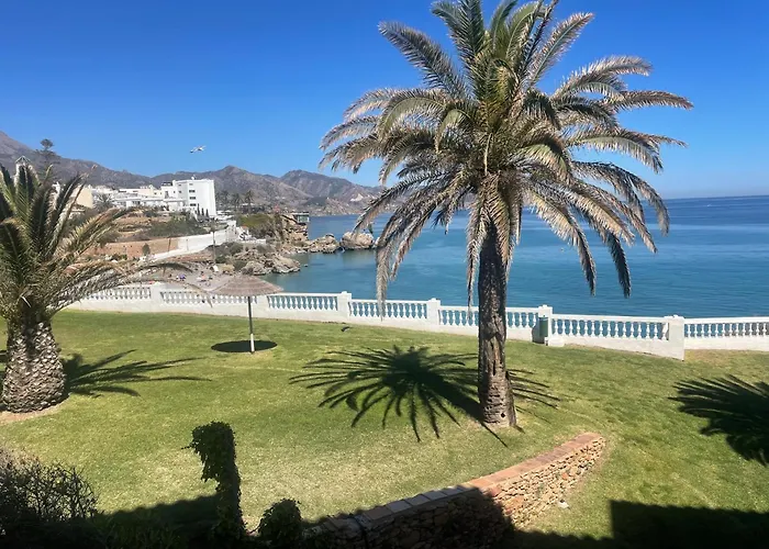 Palmeras 8 Menyber