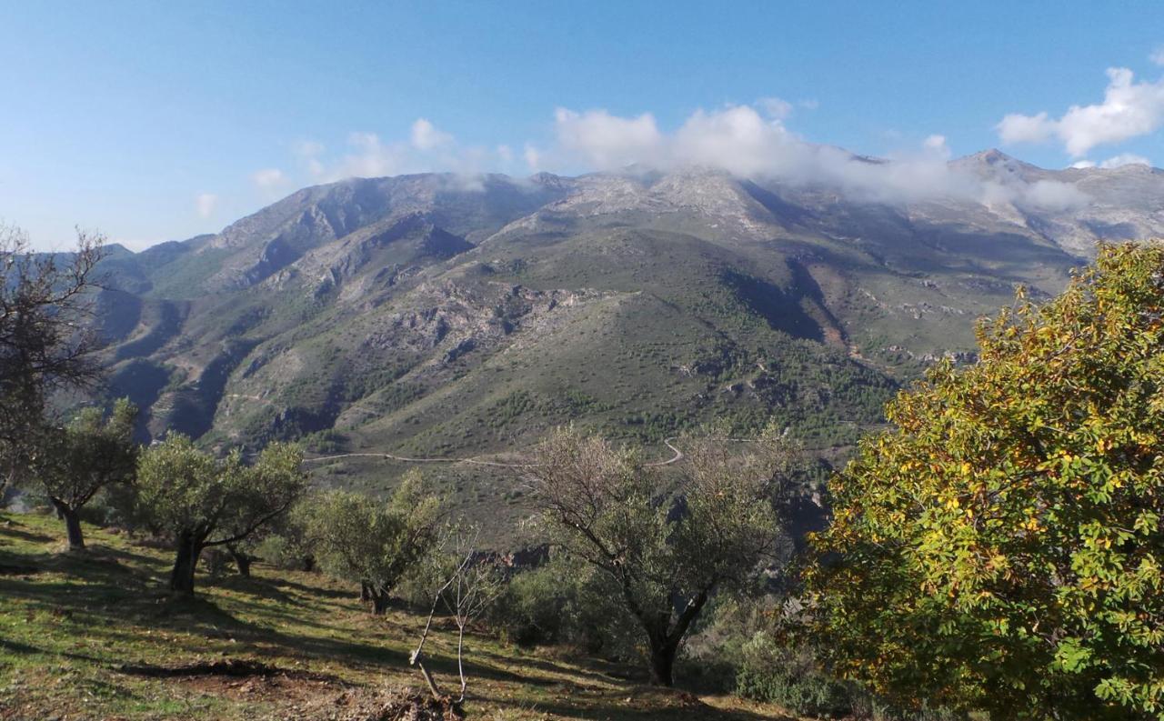 Cortijo Luque Nerja