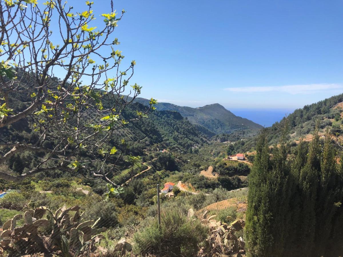 Cortijo Luque Vakantiehuis
