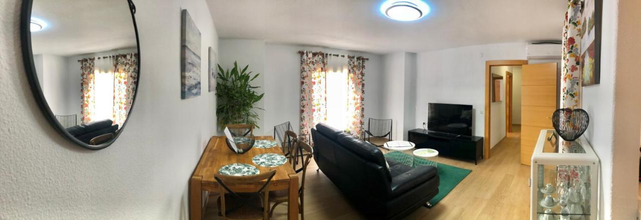 Appartement Albi *