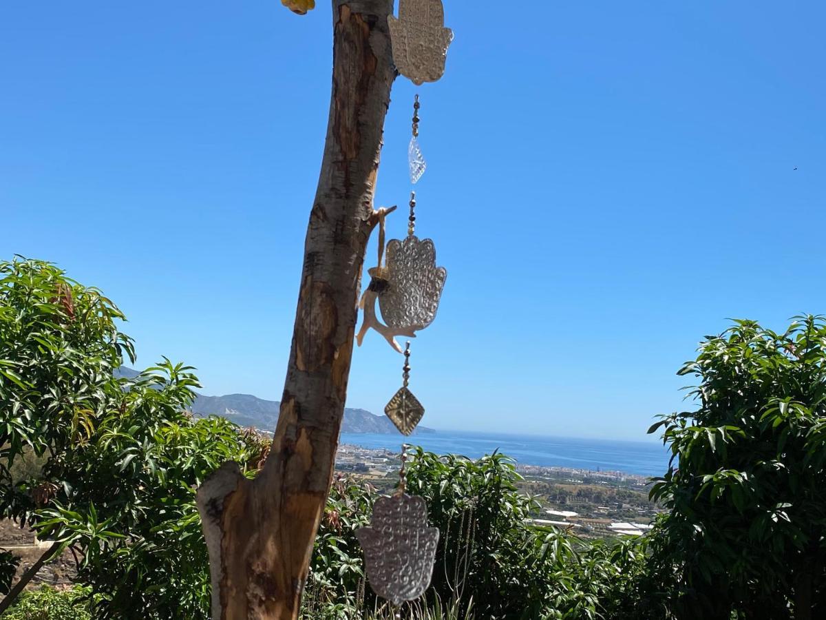Acomodação com café da manhã  La Casa Del Burro Nerja