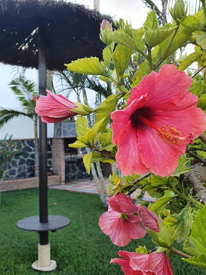 Villa Angelyn Nerja
