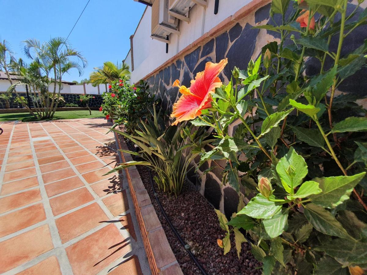 Villa Angelyn Nerja