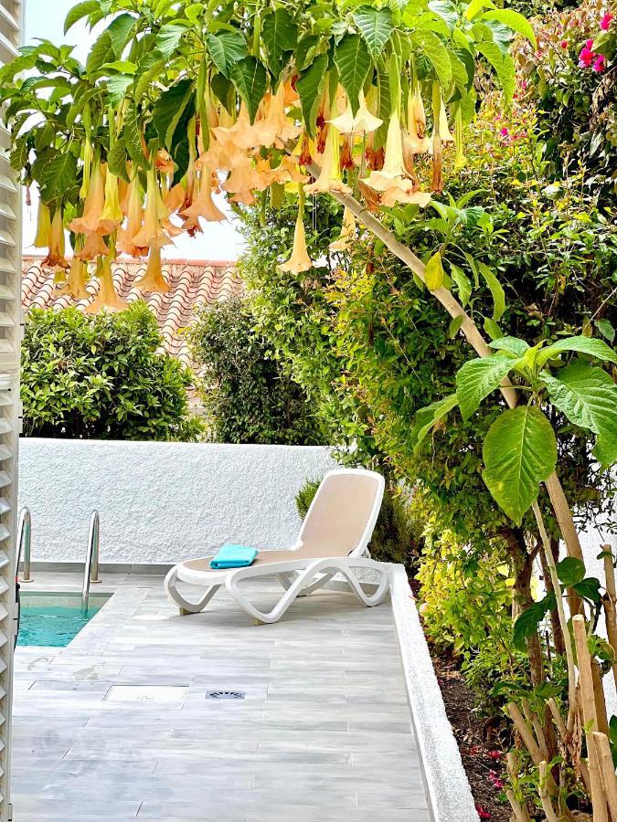 Villa Wonderful House By The Sea *