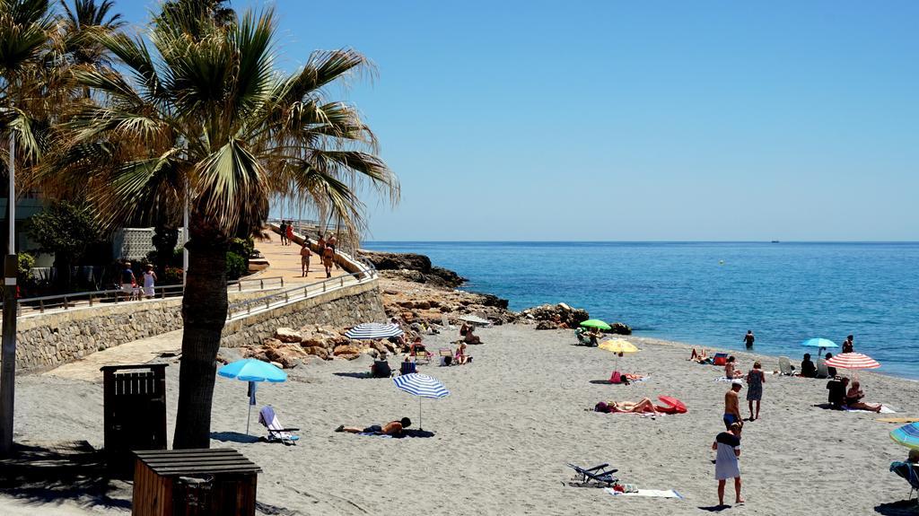 Starnerja En Stella Maris *