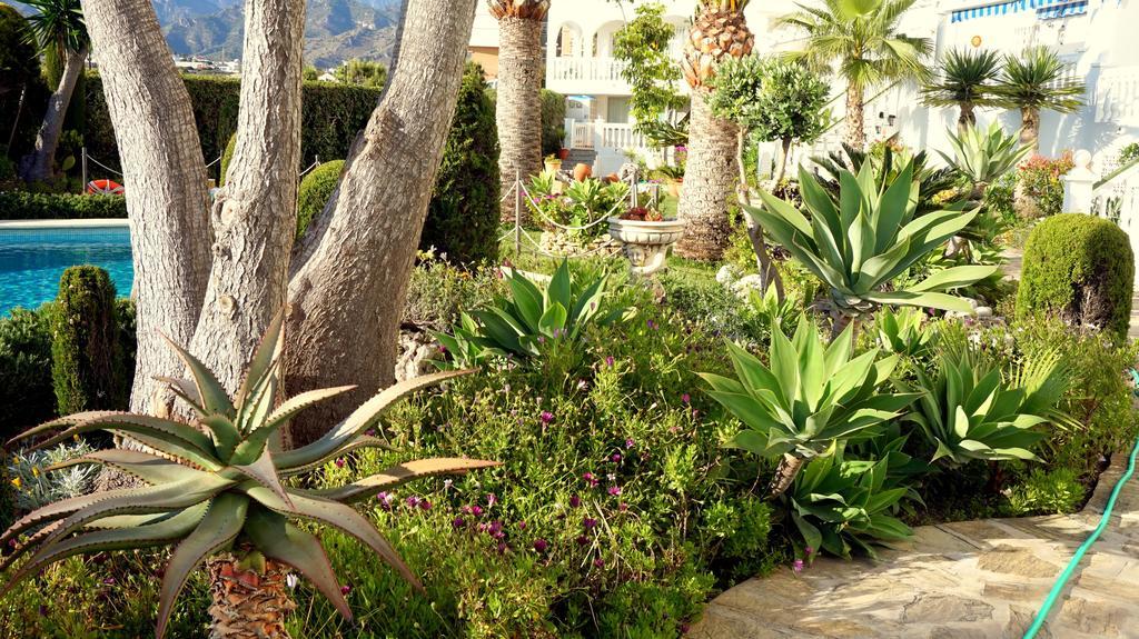 Starnerja En Stella Maris *