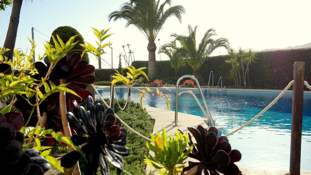 Starnerja En Stella Maris Nerja