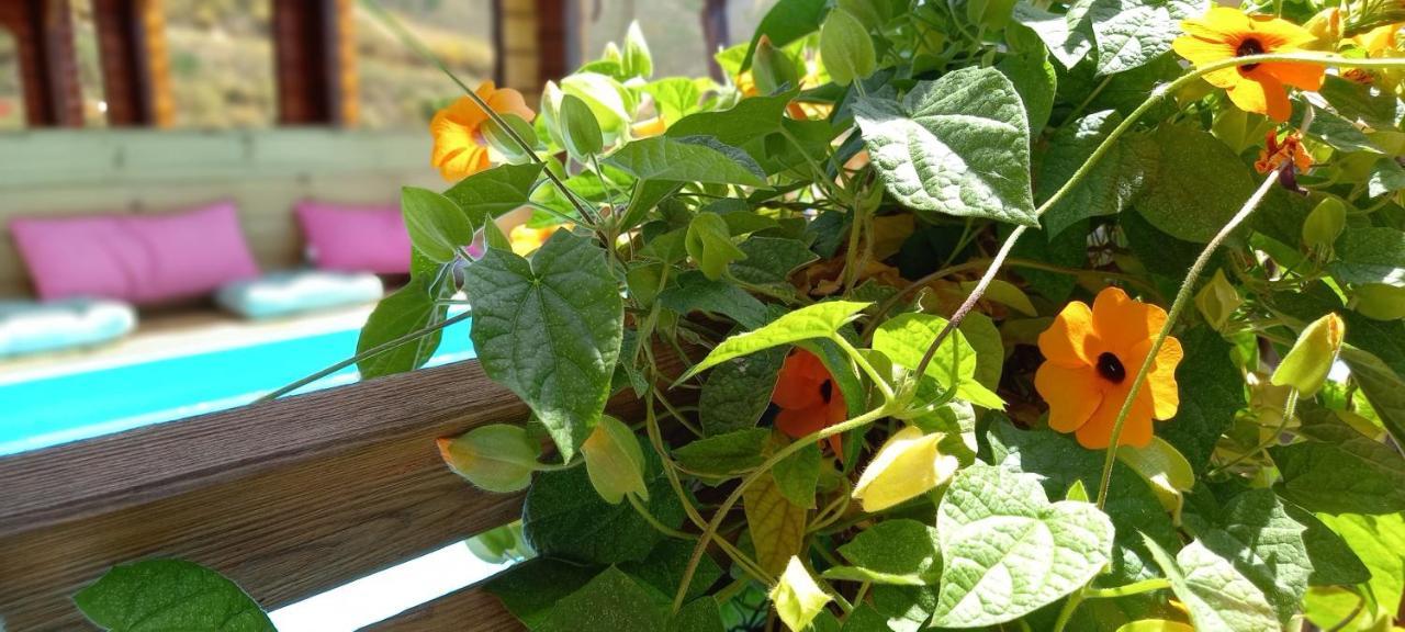 Mariposa Mariposaholidays Vakantiehuis