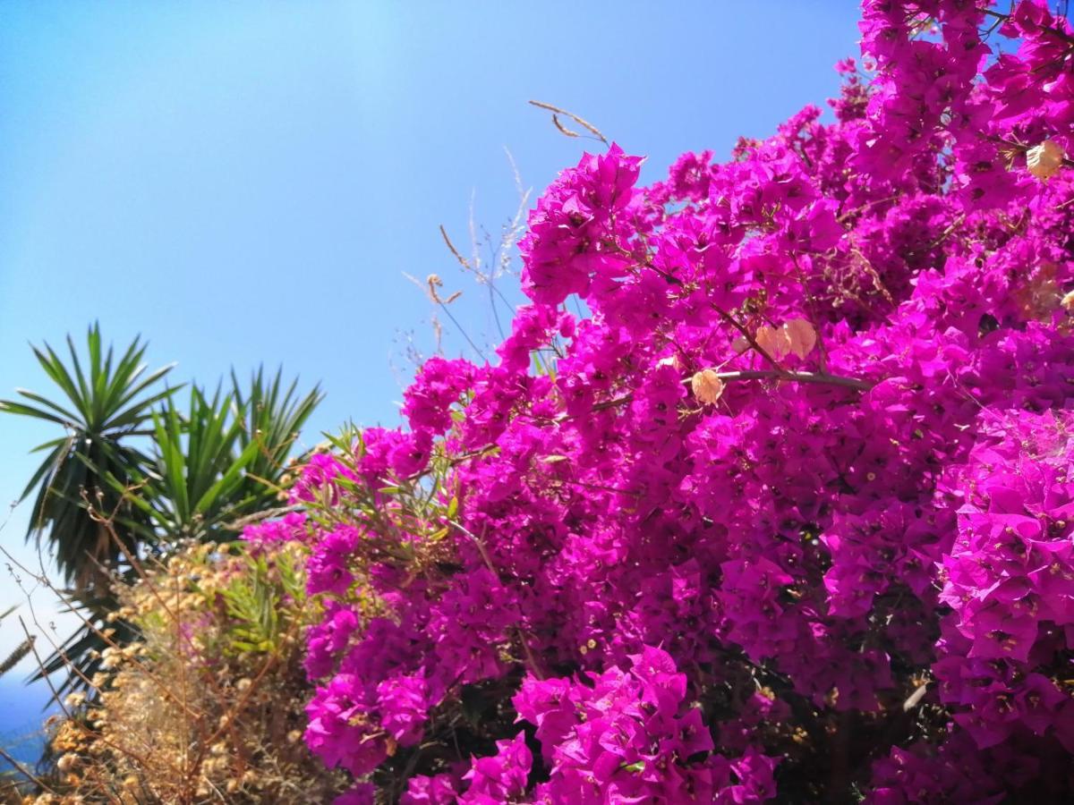 Vakantiehuis Mariposa Mariposaholidays Nerja
