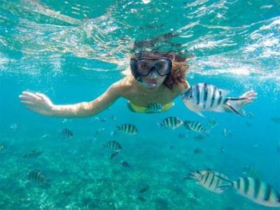 Apartamento Acapulco At