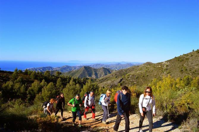 Appartement Bajos Jimena At