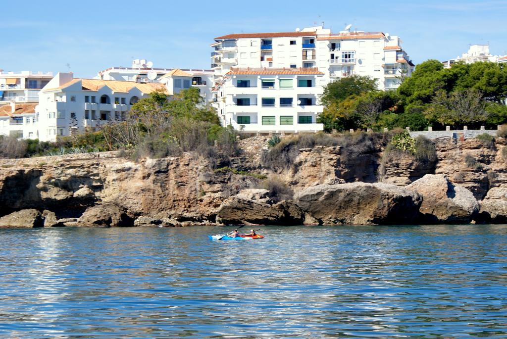 Starnerja Ii