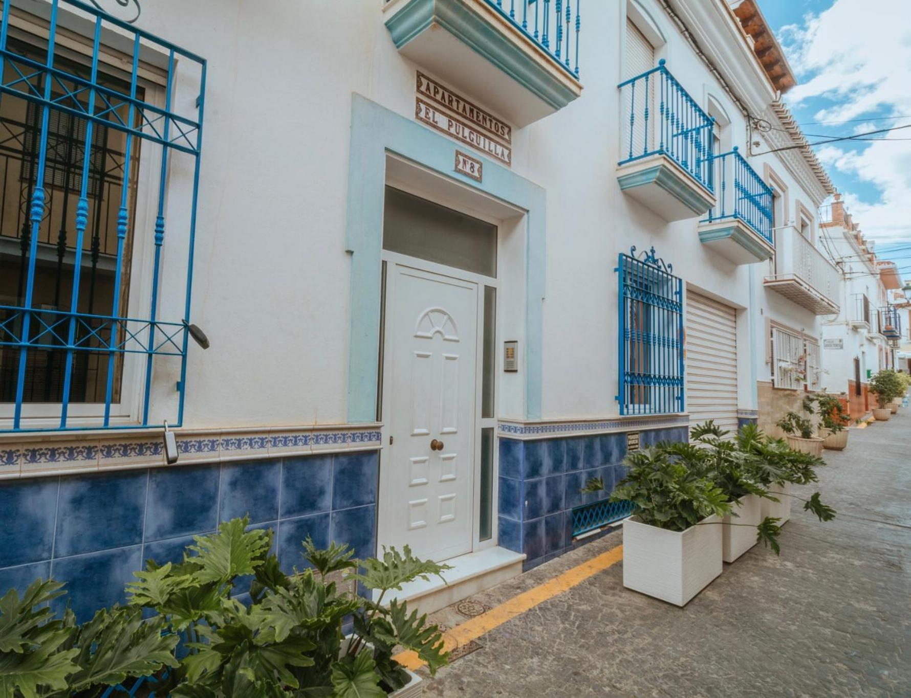 Flores * Nerja