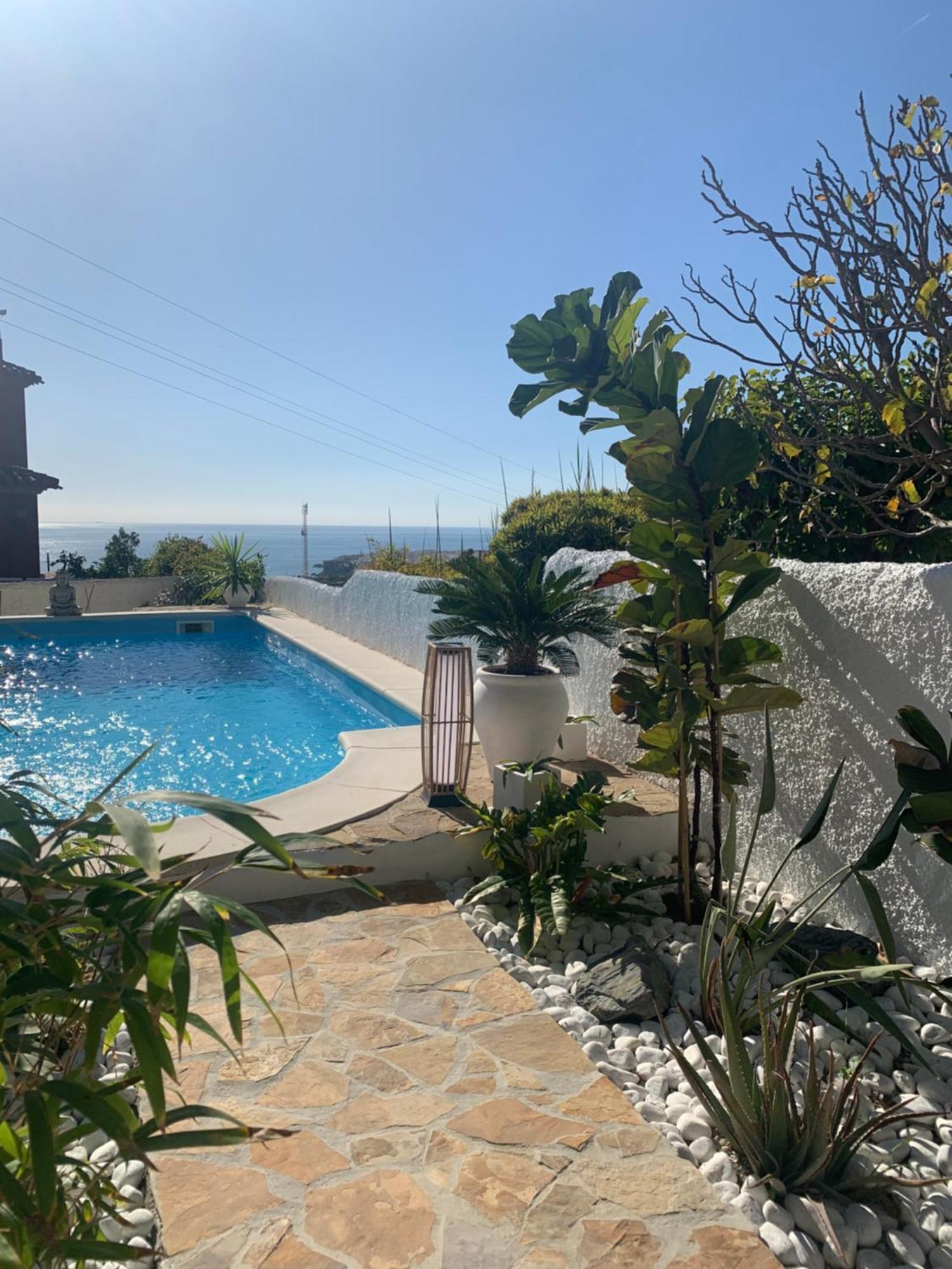 Pura Vida Apartment