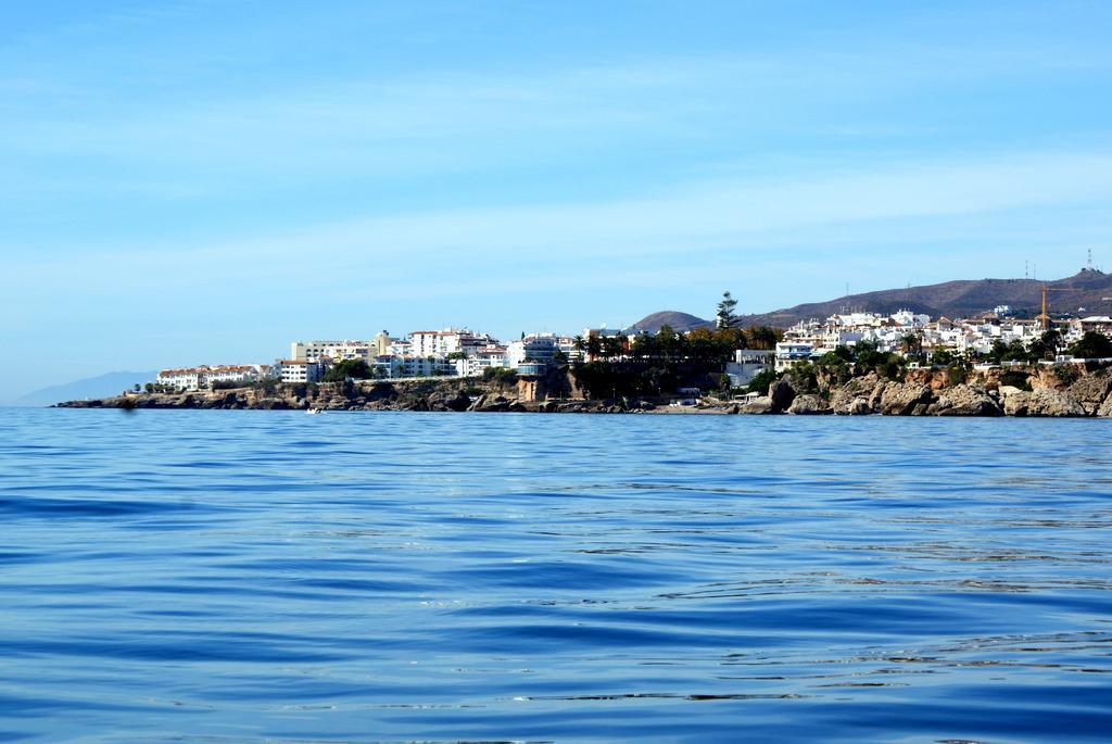 Starnerja Ii *