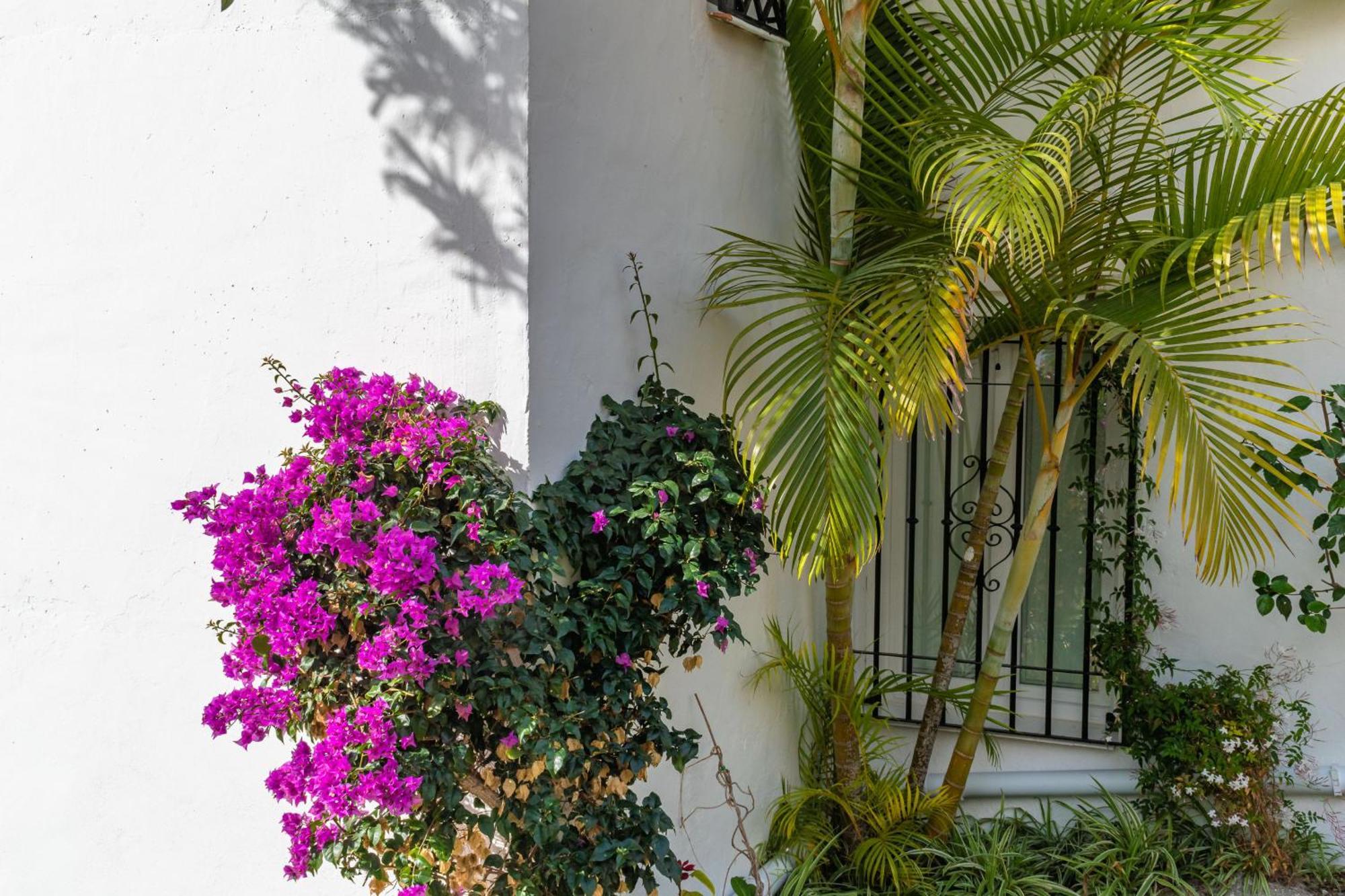 Casablanca 31 Oasis * Nerja
