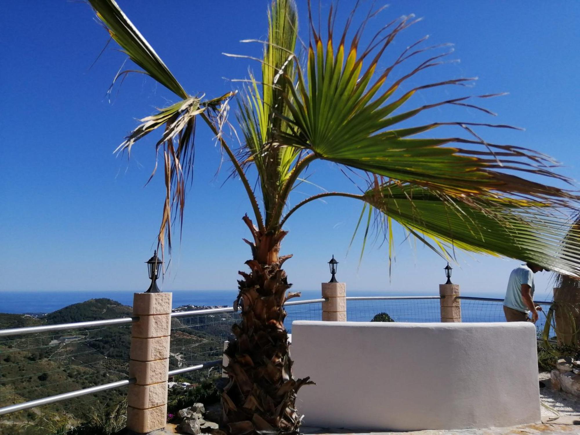 Vakantiehuis Mariposa Mariposaholidays Nerja