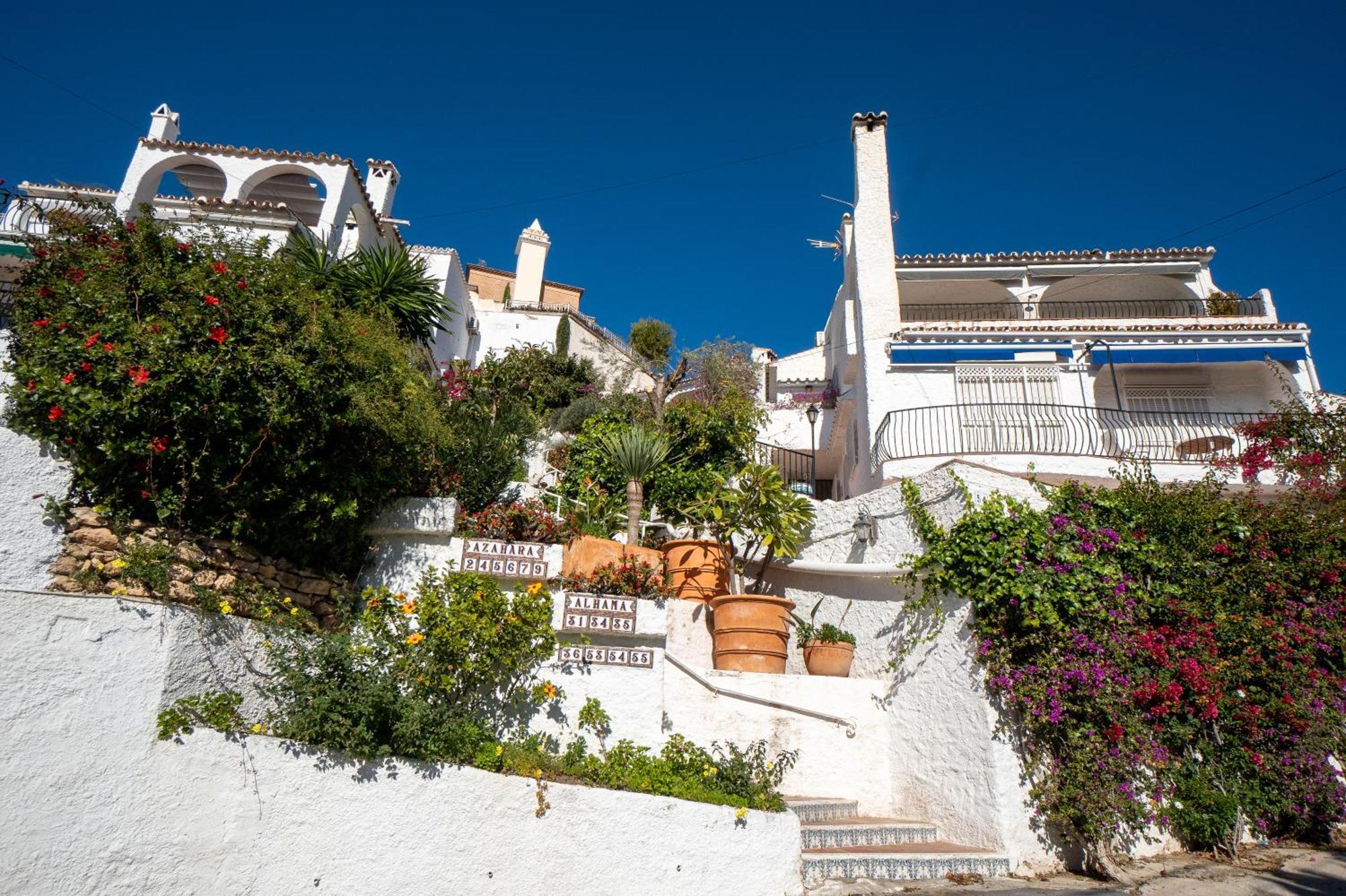 Almendros Nº5 Menyber Nerja