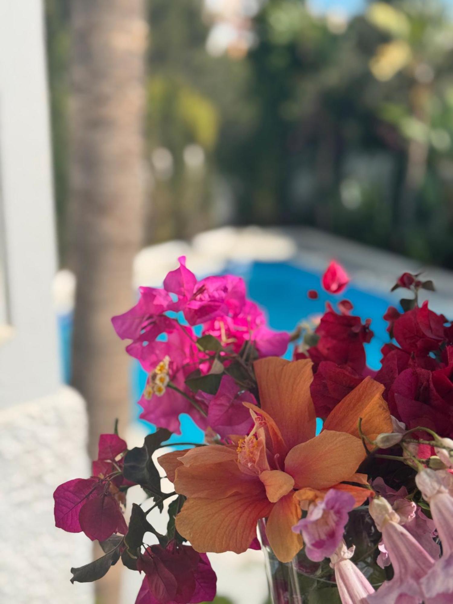 Villa Nerja Nerja