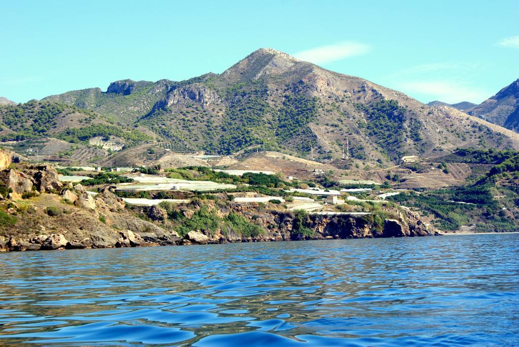 Apartment Starnerja Ii *