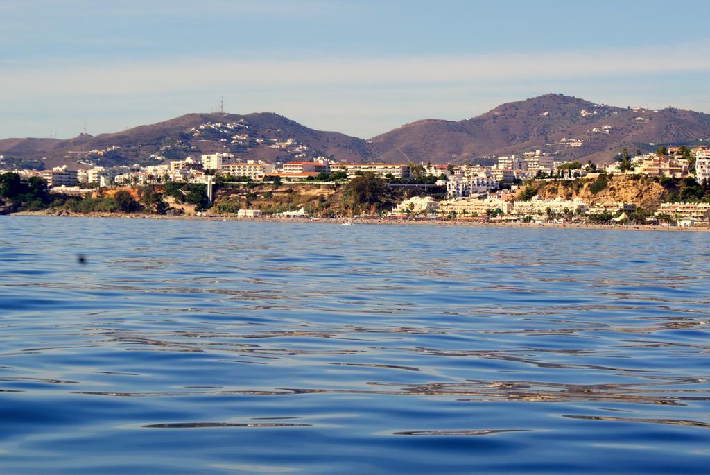 Starnerja Ii