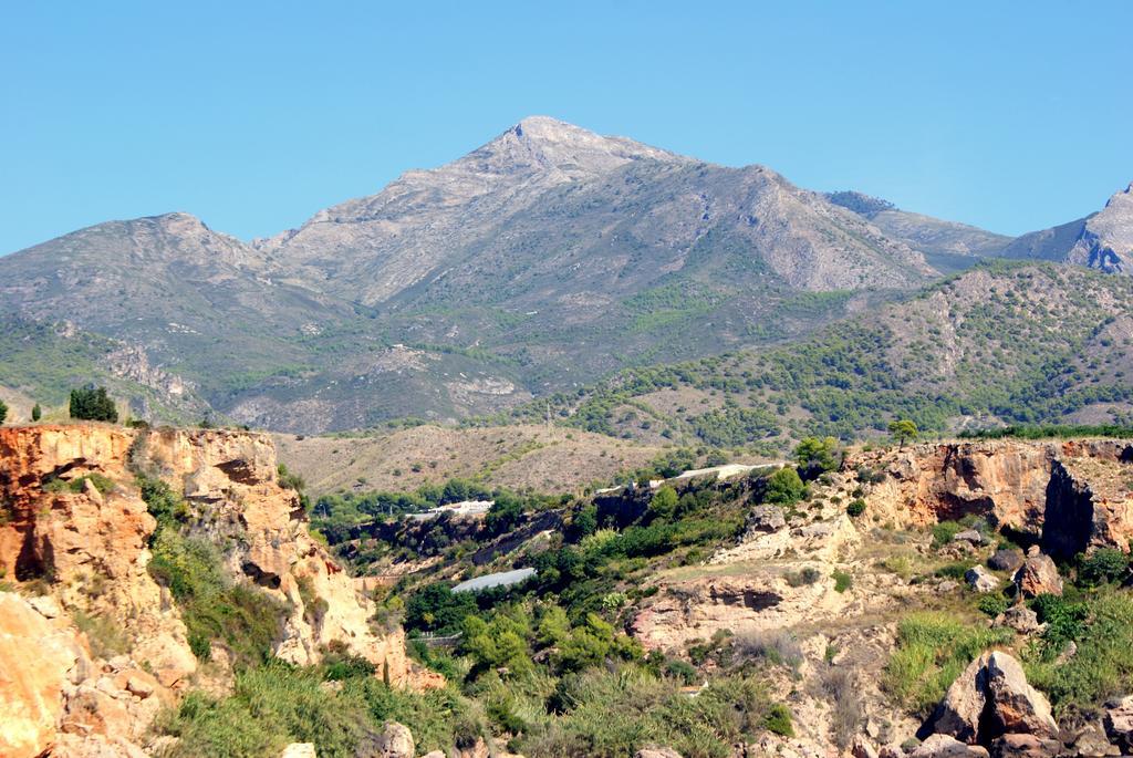 Apartment Starnerja Ii