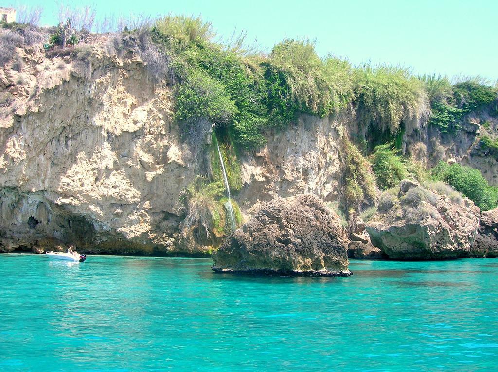 Starnerja Ii *