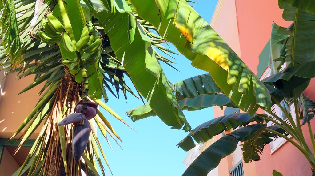 Starnerja Ii Apartment