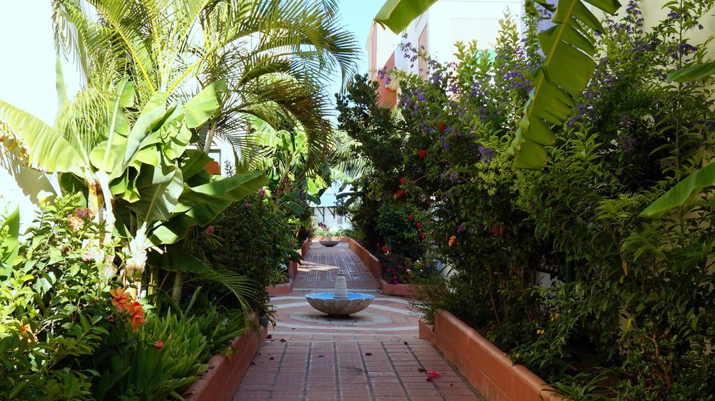 Starnerja Ii * Nerja