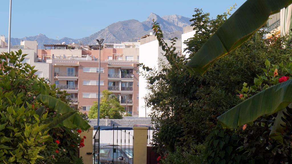 Starnerja Ii Nerja