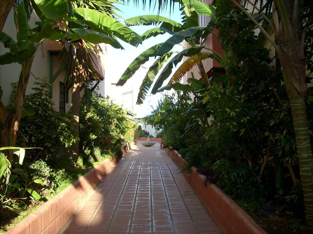 Apartment Starnerja Ii