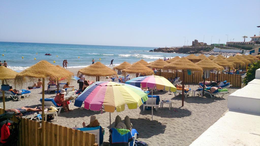 Starnerja Ii