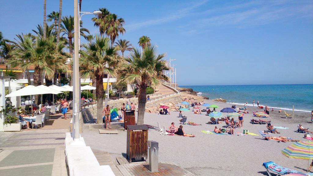 Starnerja Ii