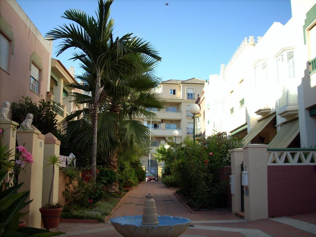 Starnerja Ii *