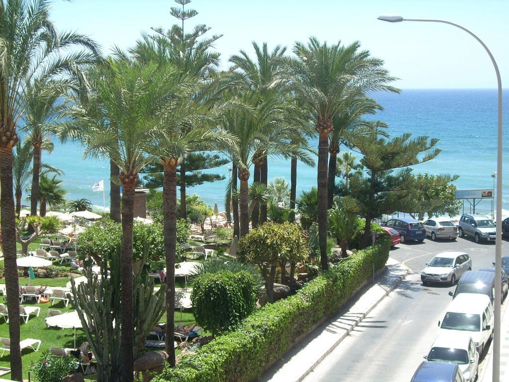 Starnerja Ii * Nerja