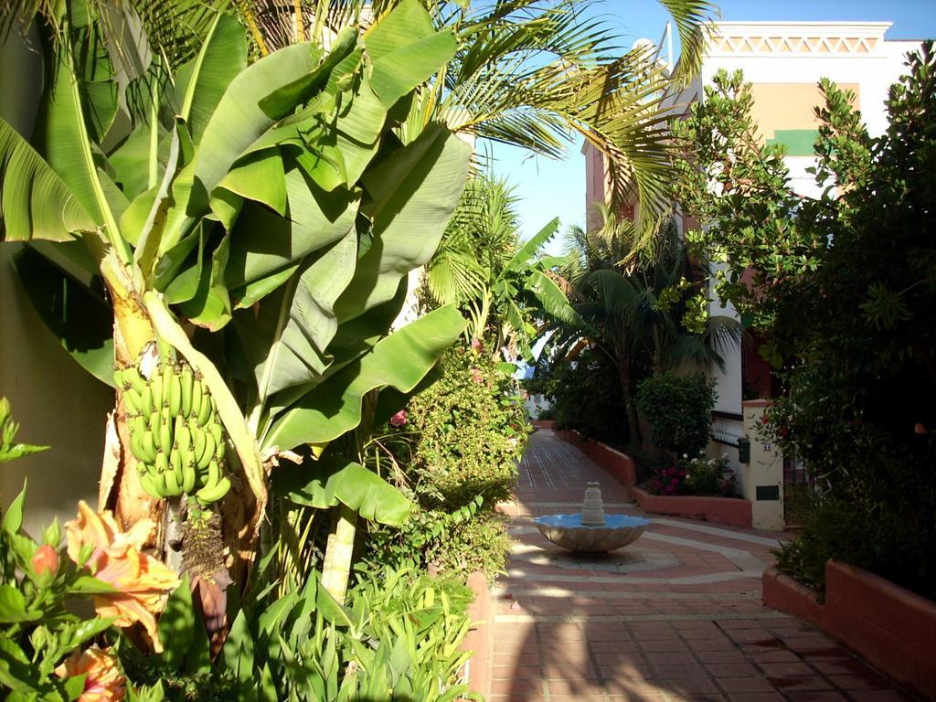 Apartment Starnerja Ii
