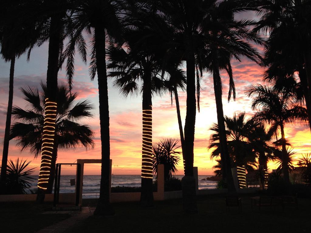 Apartamento Playa Torrecilla
