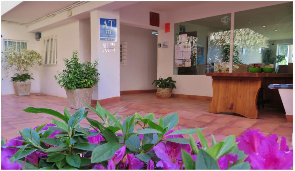 Apartamento Playa Torrecilla *