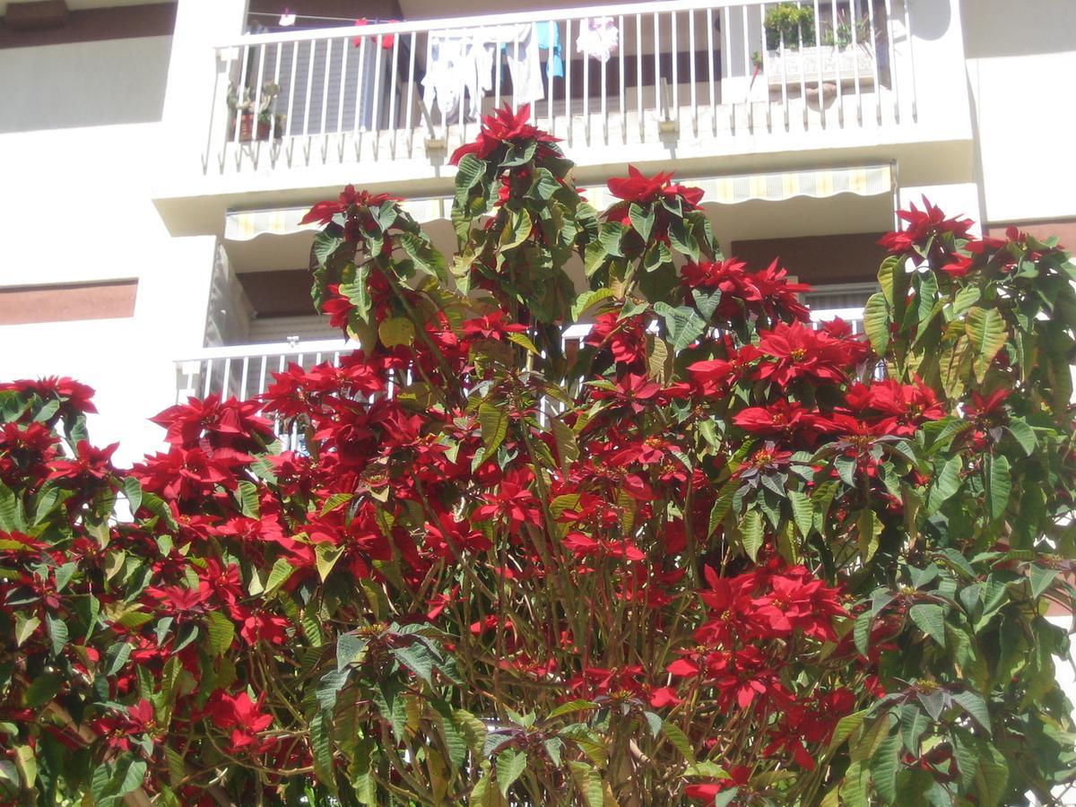 Carabeo 2000 3.1 Appartement Nerja