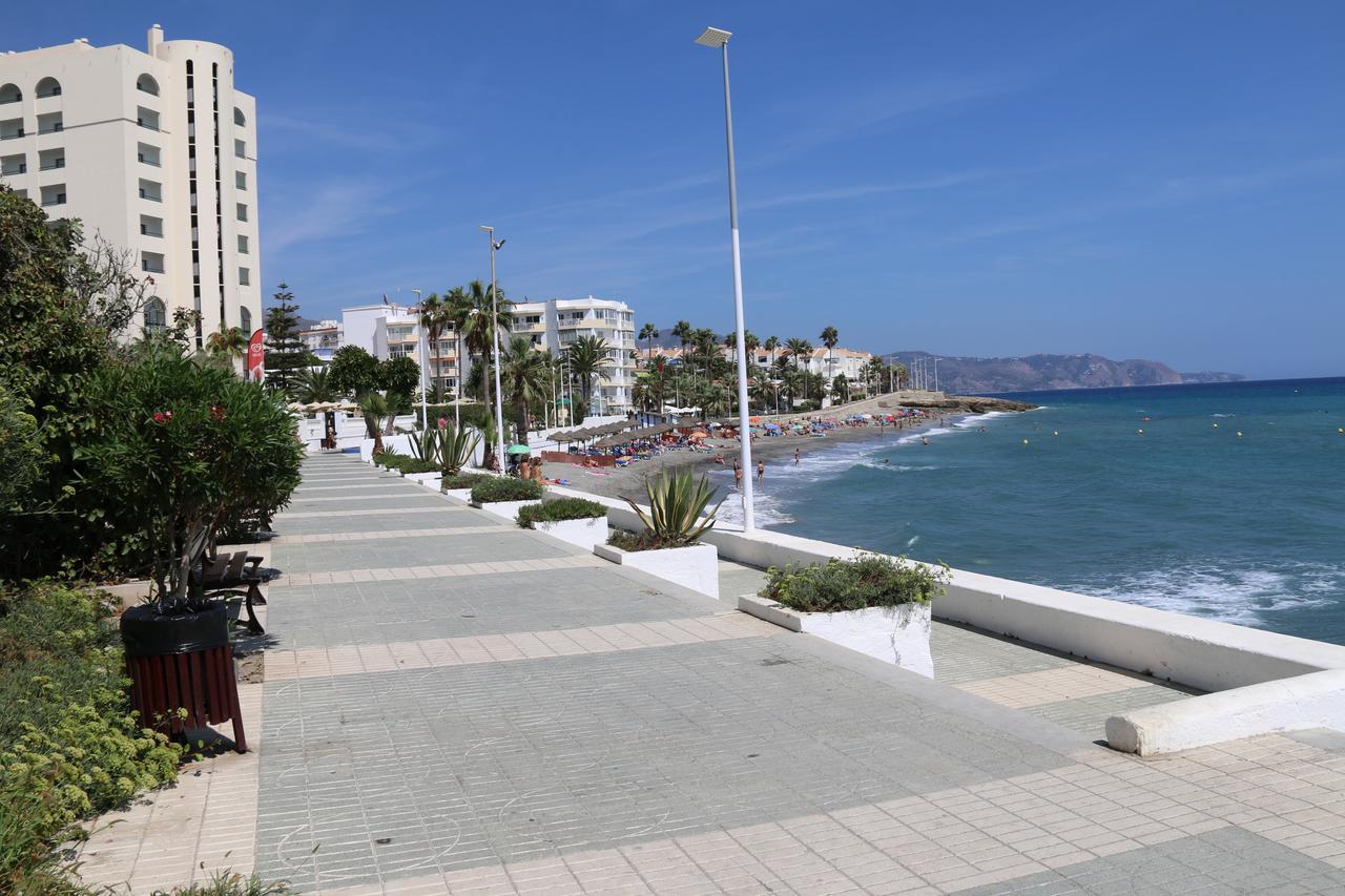 Andaluz - Neptuno
