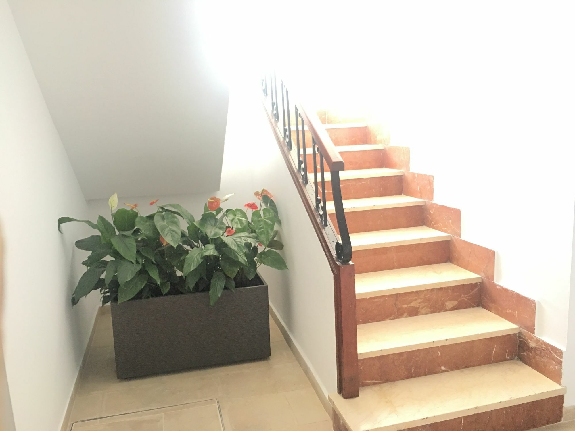 Morasol, Bluewater Apartamento