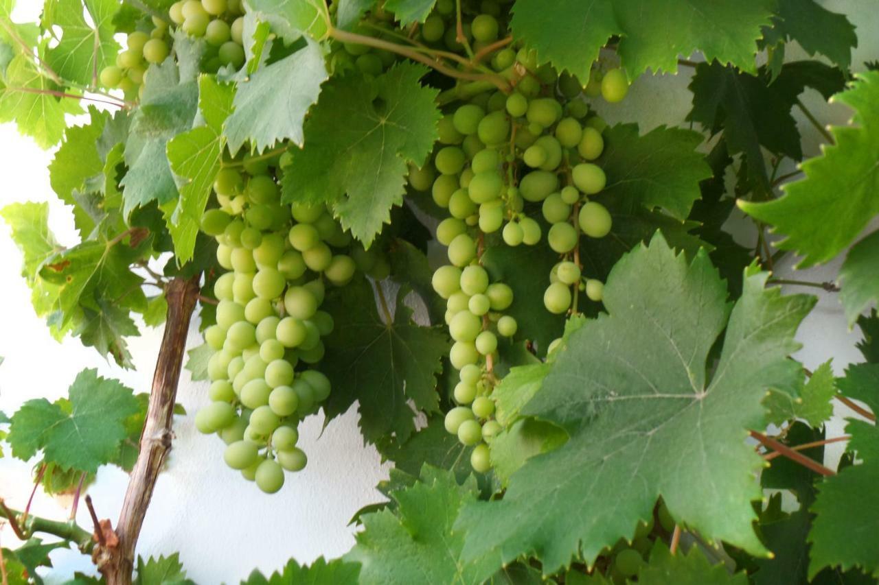 Vakantiehuis Cortijo Luque Nerja