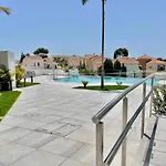 Royal Palm 12